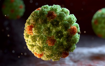 Kako izbaciti hpv virus iz organizma, kako se dobija i kako leči hpv virus?
