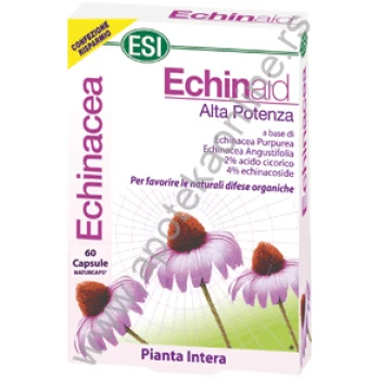 Echinaid® – Prirodni štit za jačanje imuniteta